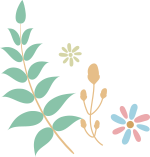左側の植物